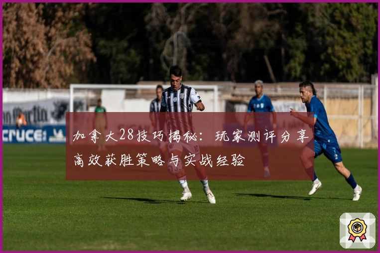 加拿大28技巧揭秘:玩家测评分享高效获胜策略与实战经验