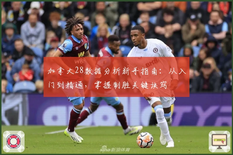 加拿大28数据分析新手指南:从入门到精通,掌握制胜关键诀窍