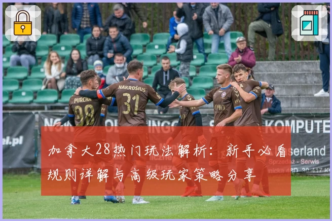 加拿大28热门玩法解析：新手必看规则详解与高级玩家策略分享