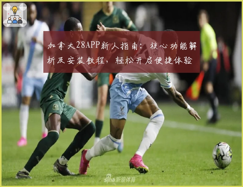 加拿大28APP新人指南:核心功能解析及安装教程,轻松开启便捷体验