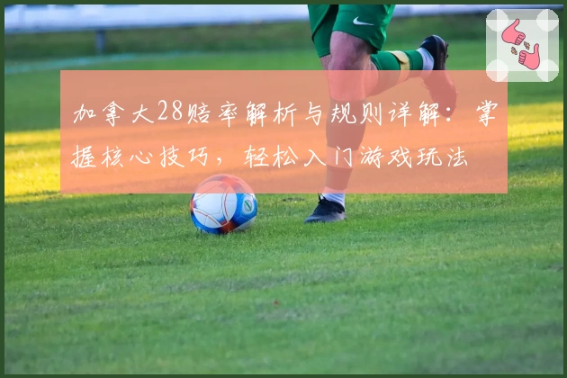 加拿大28赔率解析与规则详解：掌握核心技巧，轻松入门游戏玩法