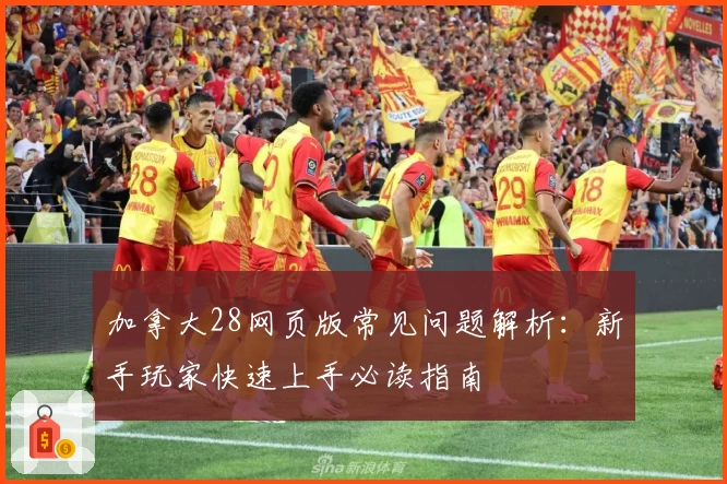 加拿大28网页版常见问题解析：新手玩家快速上手必读指南