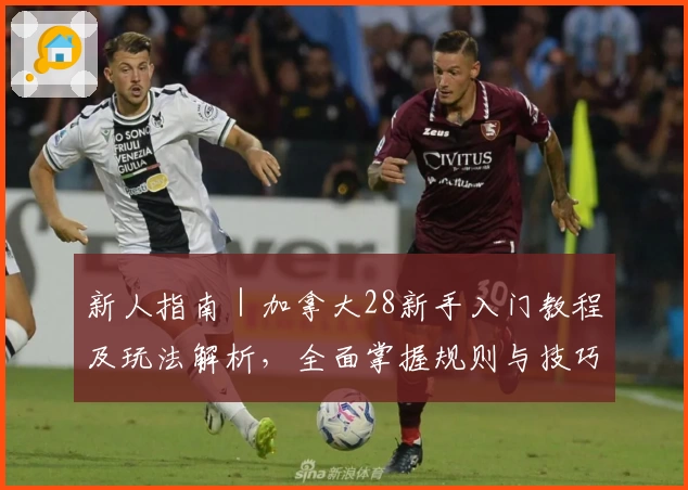 新人指南|加拿大28新手入门教程及玩法解析,全面掌握规则与技巧