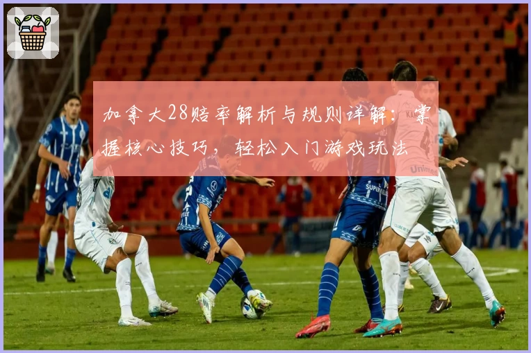 加拿大28赔率解析与规则详解：掌握核心技巧，轻松入门游戏玩法