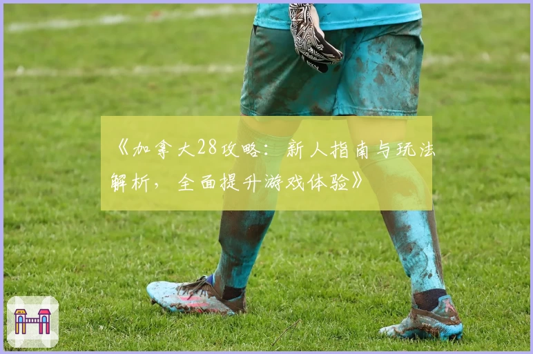 《加拿大28攻略:新人指南与玩法解析,全面提升游戏体验》