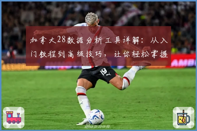加拿大28数据分析工具详解：从入门教程到高级技巧，让你轻松掌握核心要点