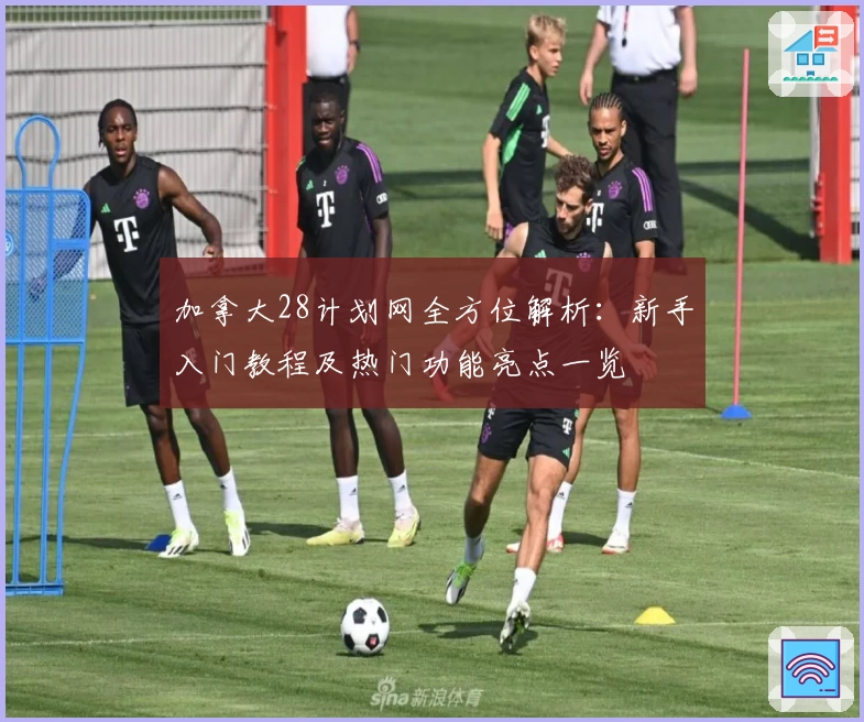 加拿大28计划网全方位解析：新手入门教程及热门功能亮点一览