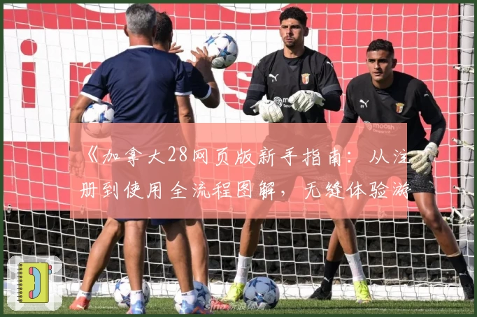 《加拿大28网页版新手指南：从注册到使用全流程图解，无缝体验游戏魅力》