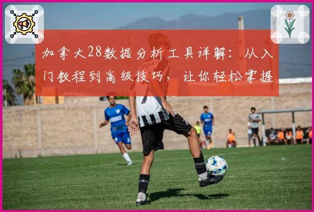 加拿大28数据分析工具详解：从入门教程到高级技巧，让你轻松掌握核心要点