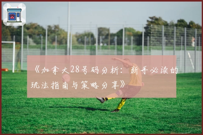 《加拿大28号码分析：新手必读的玩法指南与策略分享》