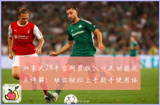 加拿大28平台网页版入口及功能亮点详解：助你轻松上手新手使用体验