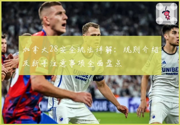 加拿大28安全玩法详解：规则介绍及新手注意事项全面盘点