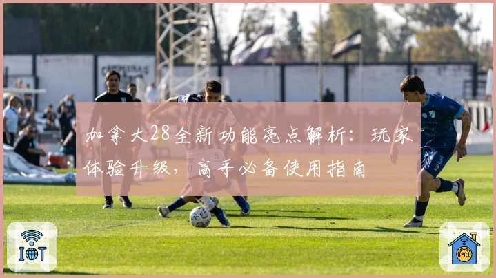 加拿大28全新功能亮点解析：玩家体验升级，高手必备使用指南