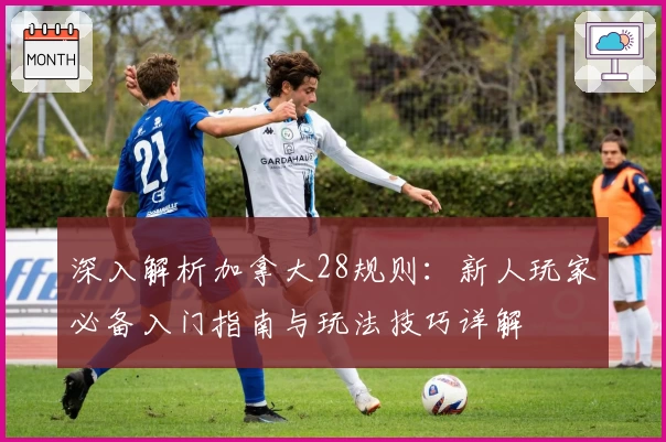 深入解析加拿大28规则:新人玩家必备入门指南与玩法技巧详解