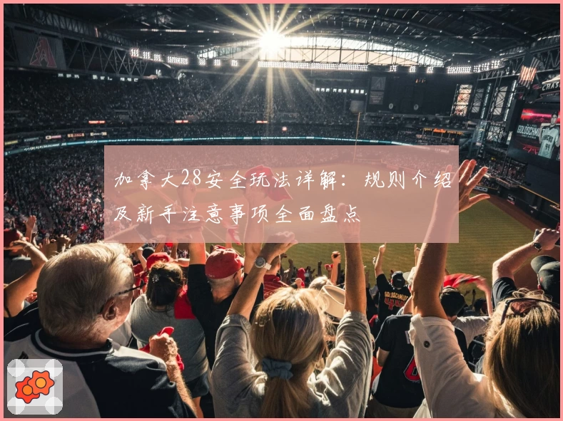 加拿大28安全玩法详解：规则介绍及新手注意事项全面盘点
