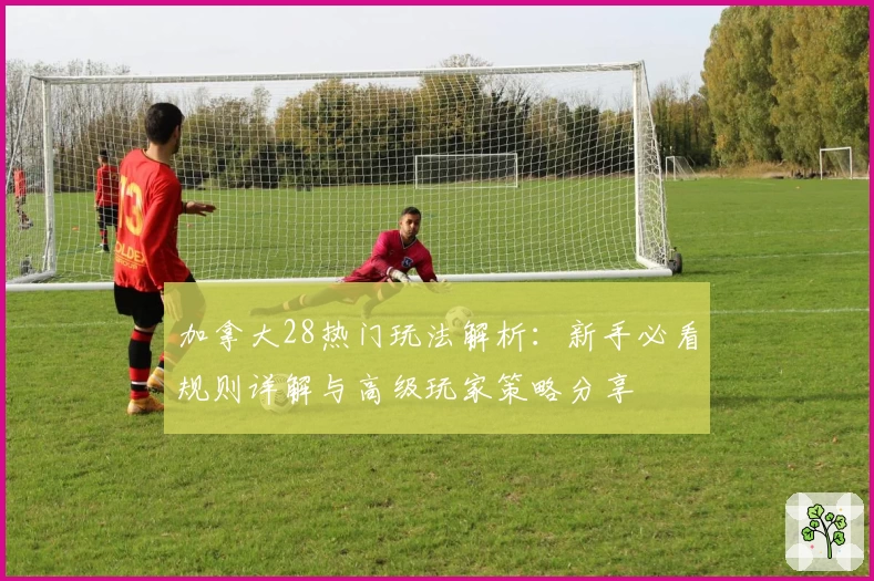 加拿大28热门玩法解析：新手必看规则详解与高级玩家策略分享