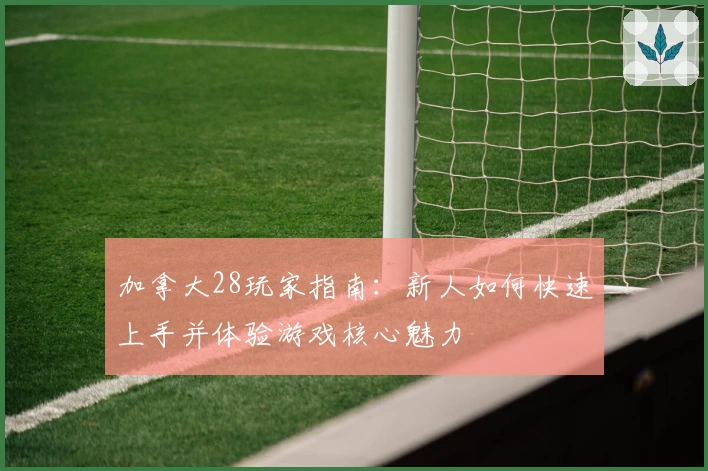 加拿大28玩家指南：新人如何快速上手并体验游戏核心魅力