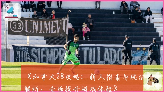 《加拿大28攻略:新人指南与玩法解析,全面提升游戏体验》