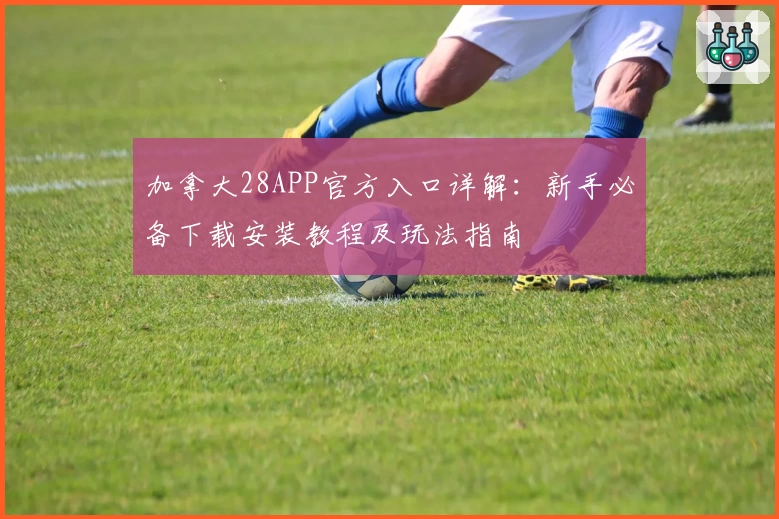 加拿大28APP官方入口详解：新手必备下载安装教程及玩法指南