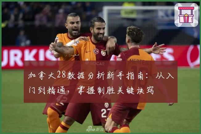 加拿大28数据分析新手指南:从入门到精通,掌握制胜关键诀窍