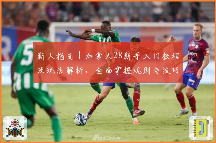 新人指南|加拿大28新手入门教程及玩法解析,全面掌握规则与技巧