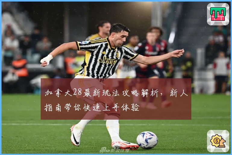 加拿大28最新玩法攻略解析，新人指南带你快速上手体验