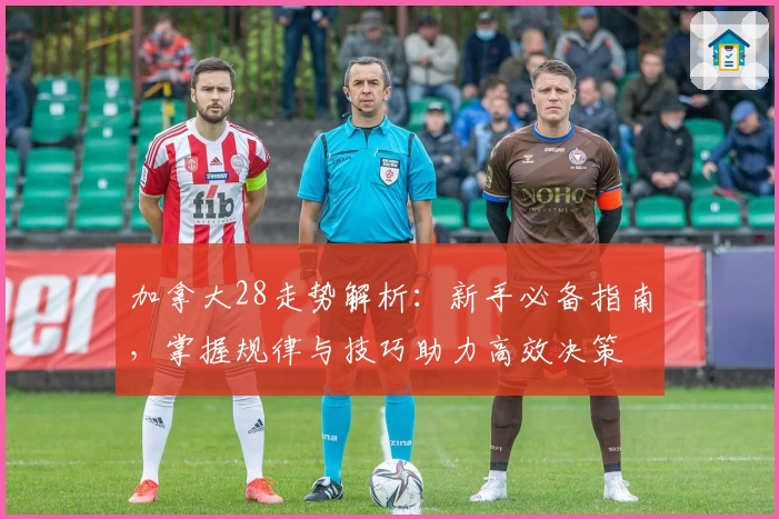 加拿大28走势解析：新手必备指南，掌握规律与技巧助力高效决策