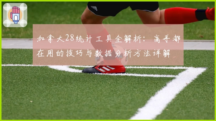 加拿大28统计工具全解析:高手都在用的技巧与数据分析方法详解