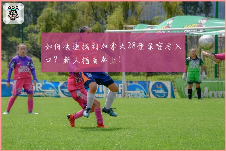 如何快速找到加拿大28登录官方入口?新人指南奉上!