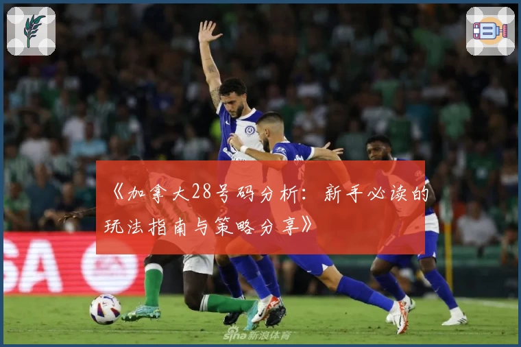 《加拿大28号码分析:新手必读的玩法指南与策略分享》