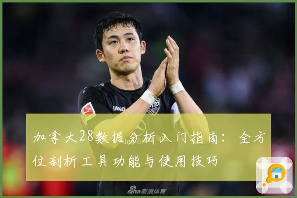 加拿大28数据分析入门指南：全方位剖析工具功能与使用技巧