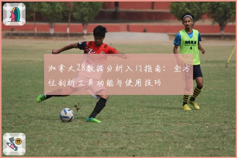 加拿大28数据分析入门指南：全方位剖析工具功能与使用技巧