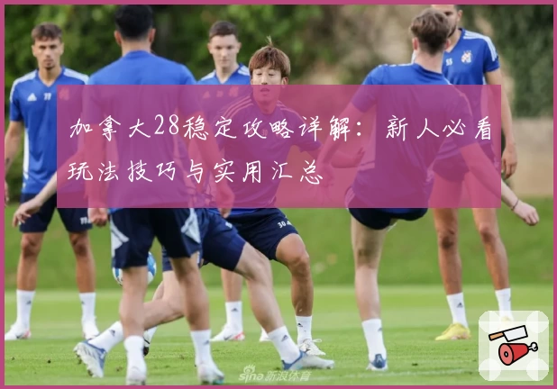 加拿大28稳定攻略详解：新人必看玩法技巧与实用汇总