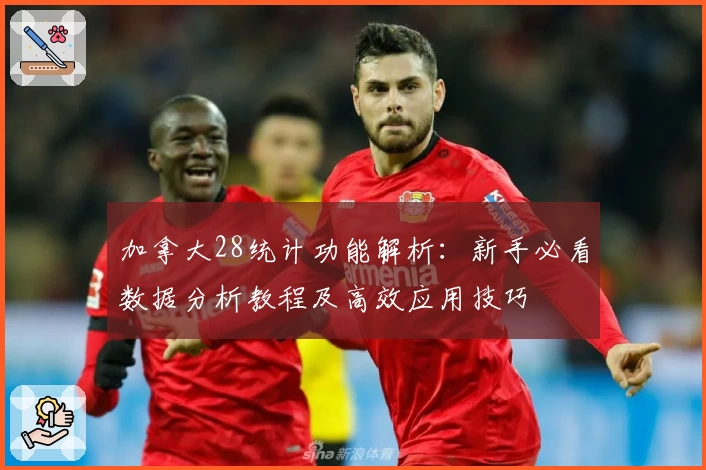 加拿大28统计功能解析：新手必看数据分析教程及高效应用技巧