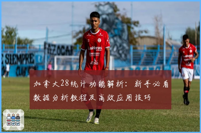 加拿大28统计功能解析：新手必看数据分析教程及高效应用技巧