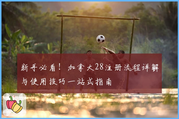 新手必看！加拿大28注册流程详解与使用技巧一站式指南