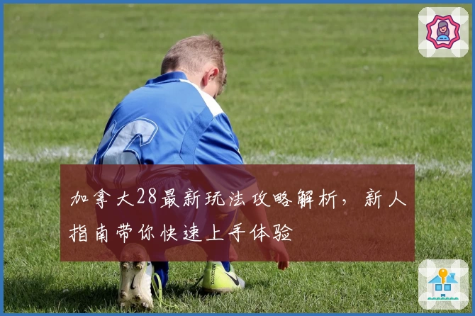 加拿大28最新玩法攻略解析，新人指南带你快速上手体验