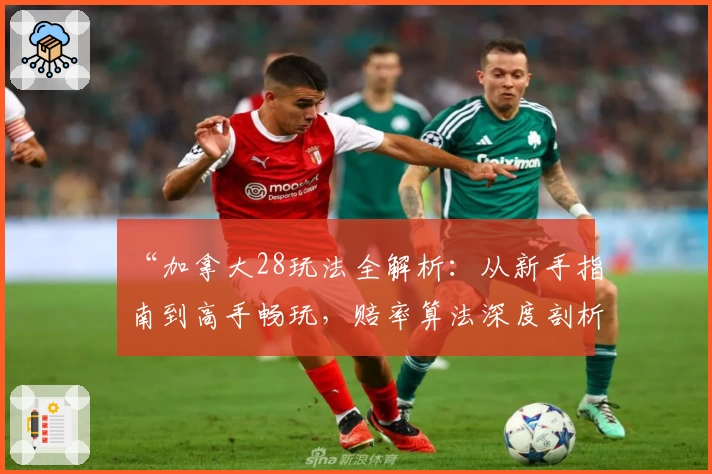 “加拿大28玩法全解析:从新手指南到高手畅玩,赔率算法深度剖析”