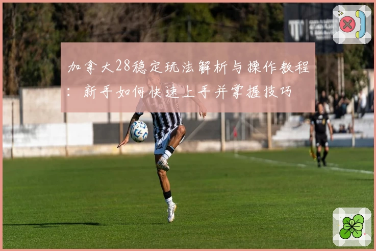 加拿大28稳定玩法解析与操作教程：新手如何快速上手并掌握技巧