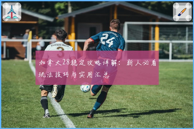 加拿大28稳定攻略详解：新人必看玩法技巧与实用汇总