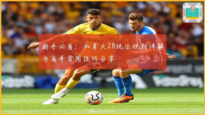 新手必看：加拿大28玩法规则详解与高手常用技巧分享