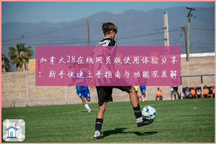 加拿大28在线网页版使用体验分享：新手快速上手指南与功能深度解析